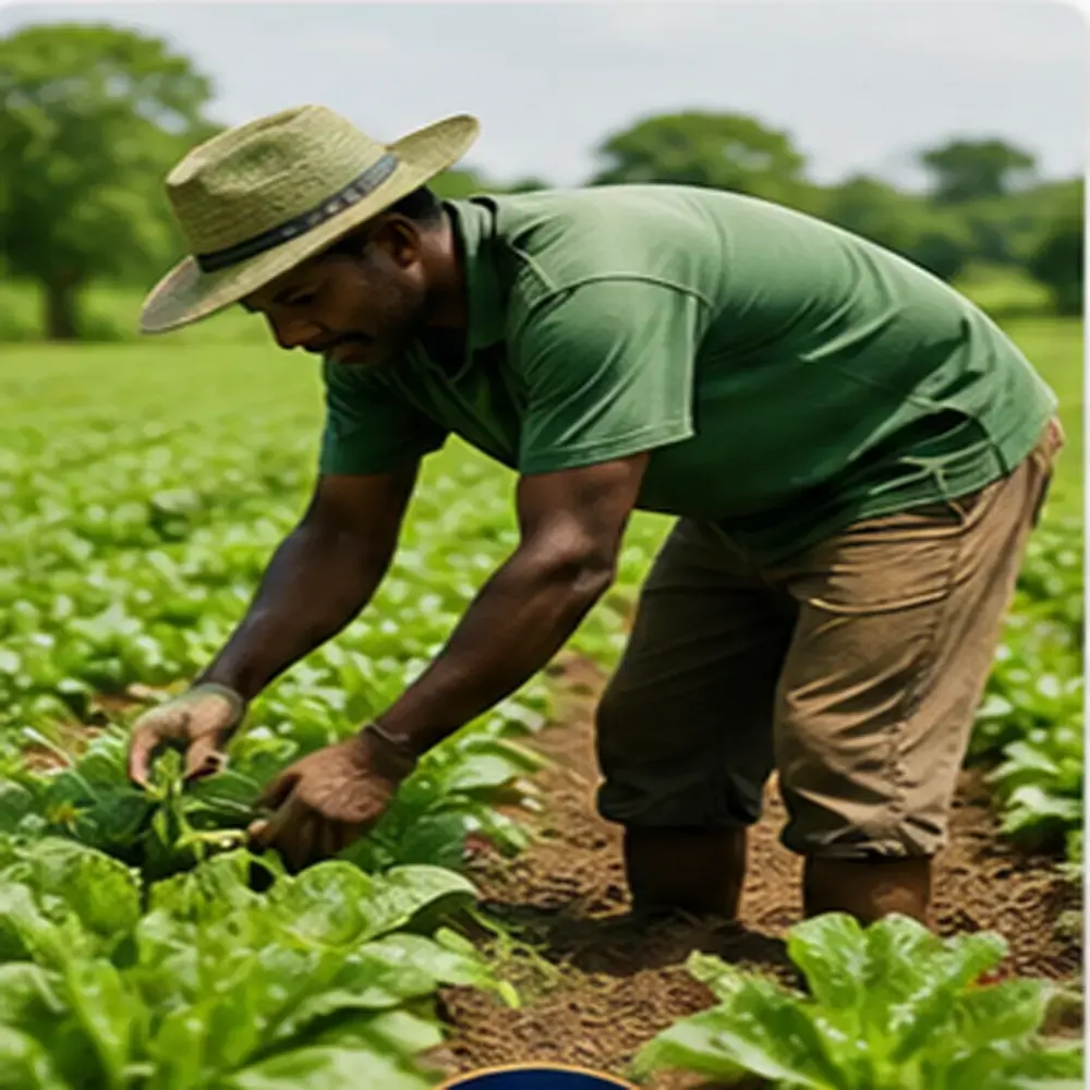 Agriculture